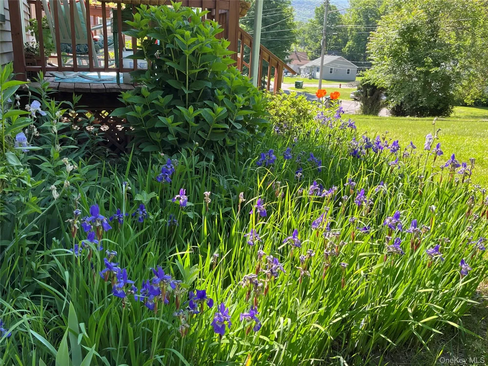 17 Spring Street Ellenville, NY 12428