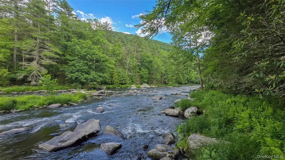 225 Hatchery Road Forestburgh, NY 12777