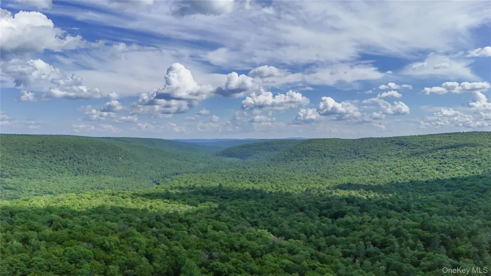 0 Wilderness Trail Forestburgh, NY 12777