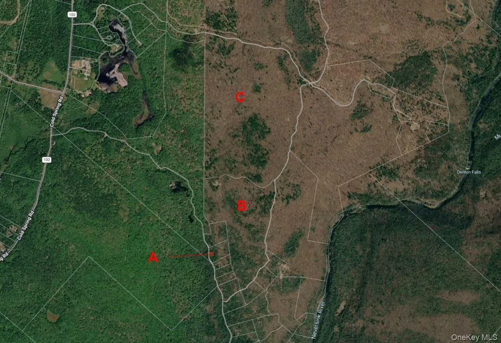 0 Wilderness Trail Forestburgh, NY 12777