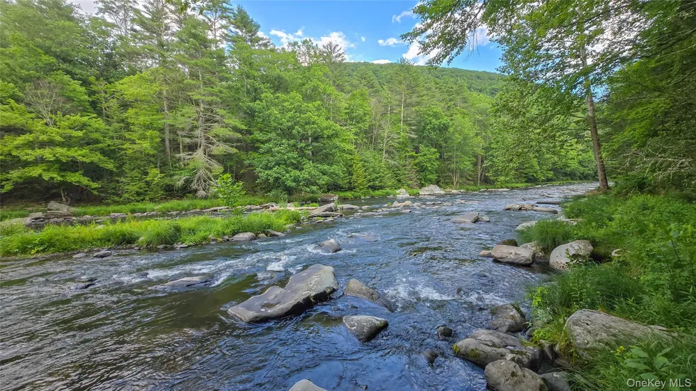 0 Wilderness Trail Forestburgh, NY 12777