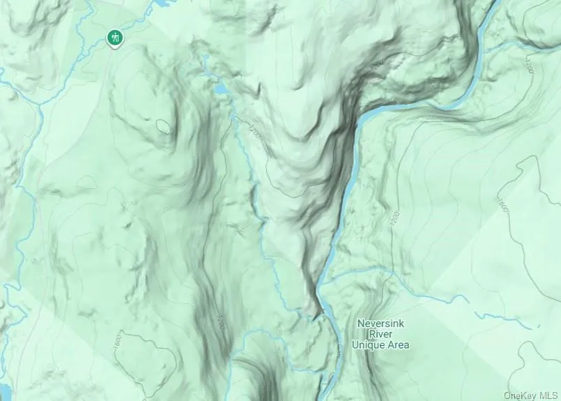 0 Wilderness Trail Forestburgh, NY 12777