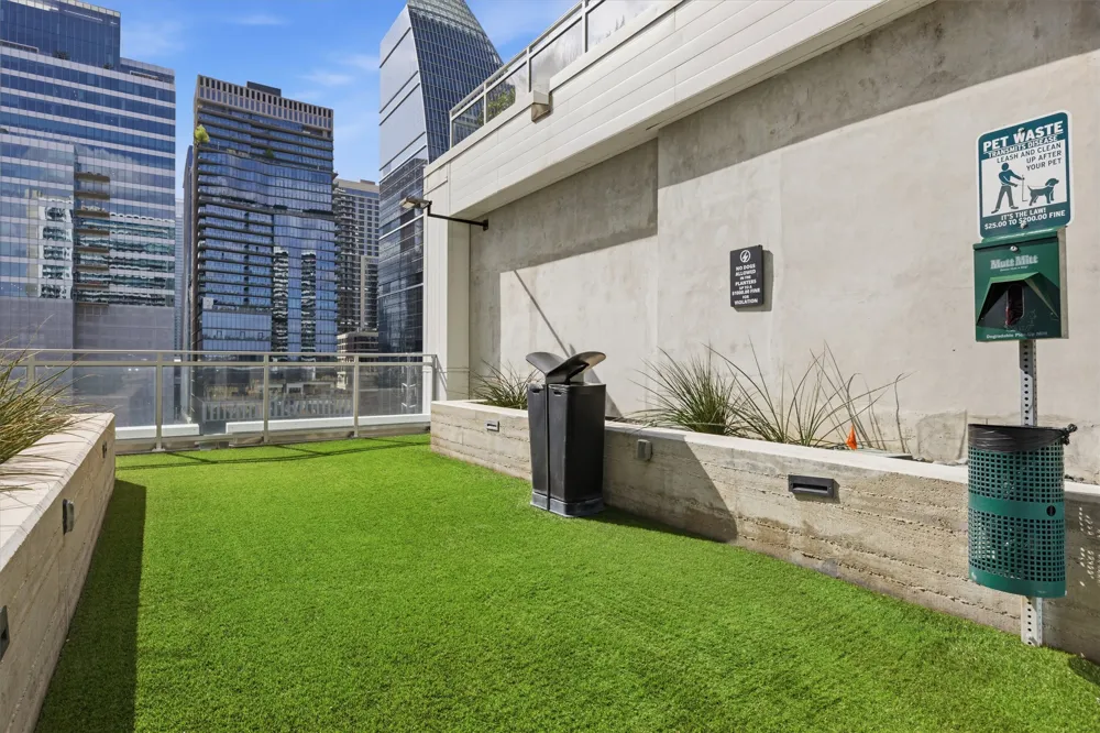 222 West Avenue #1808 Austin, TX 78701