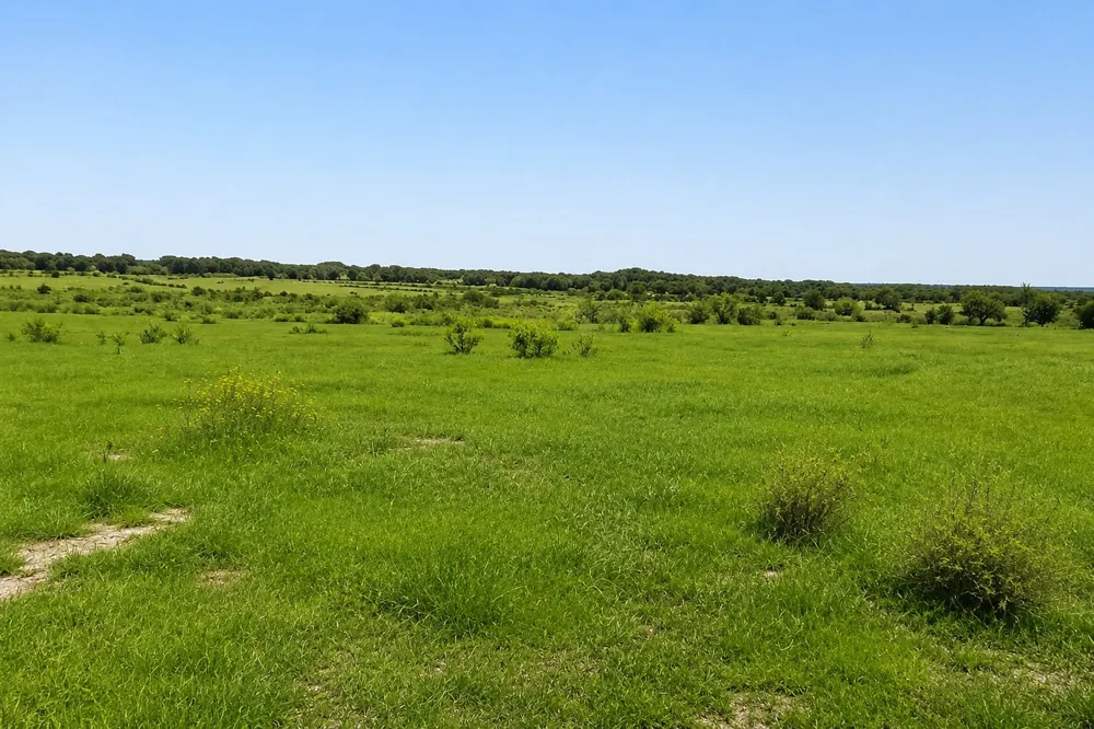 1032 Don Eve Court Azle, TX 76020