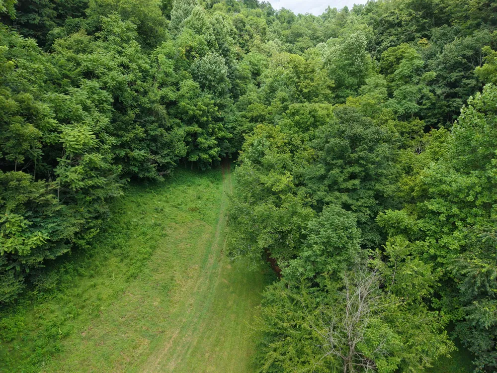 1505 Dark Hollow Rd Lafayette, TN 37083