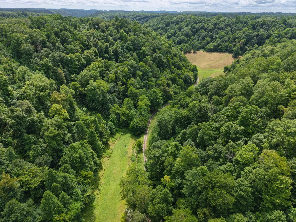 1505 Dark Hollow Rd Lafayette, TN 37083