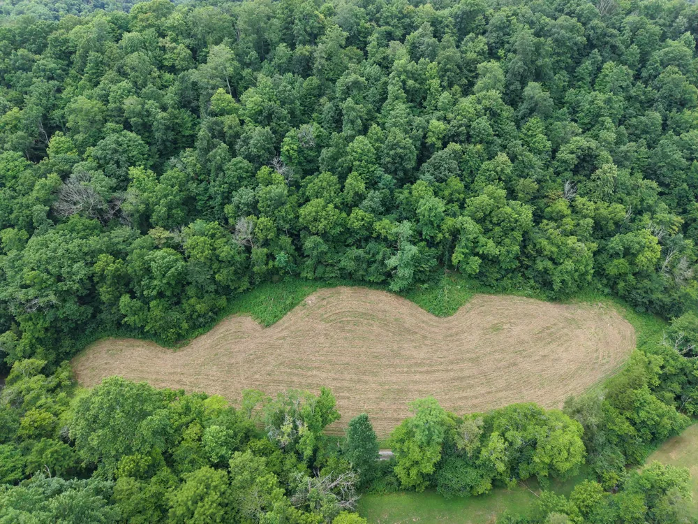 1505 Dark Hollow Rd Lafayette, TN 37083