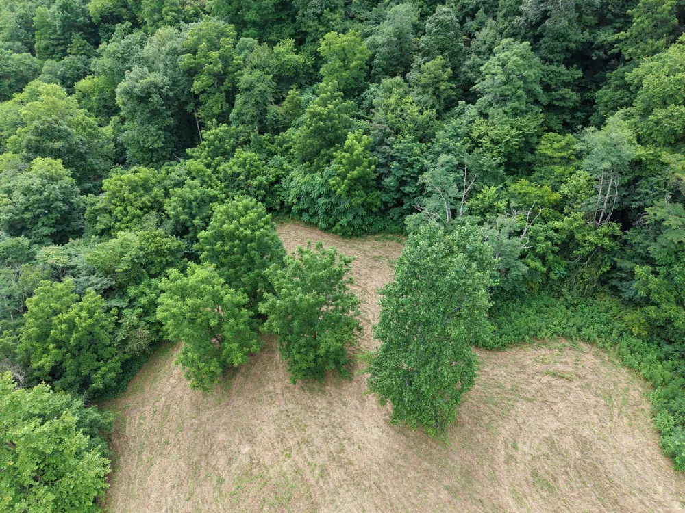 1505 Dark Hollow Rd Lafayette, TN 37083