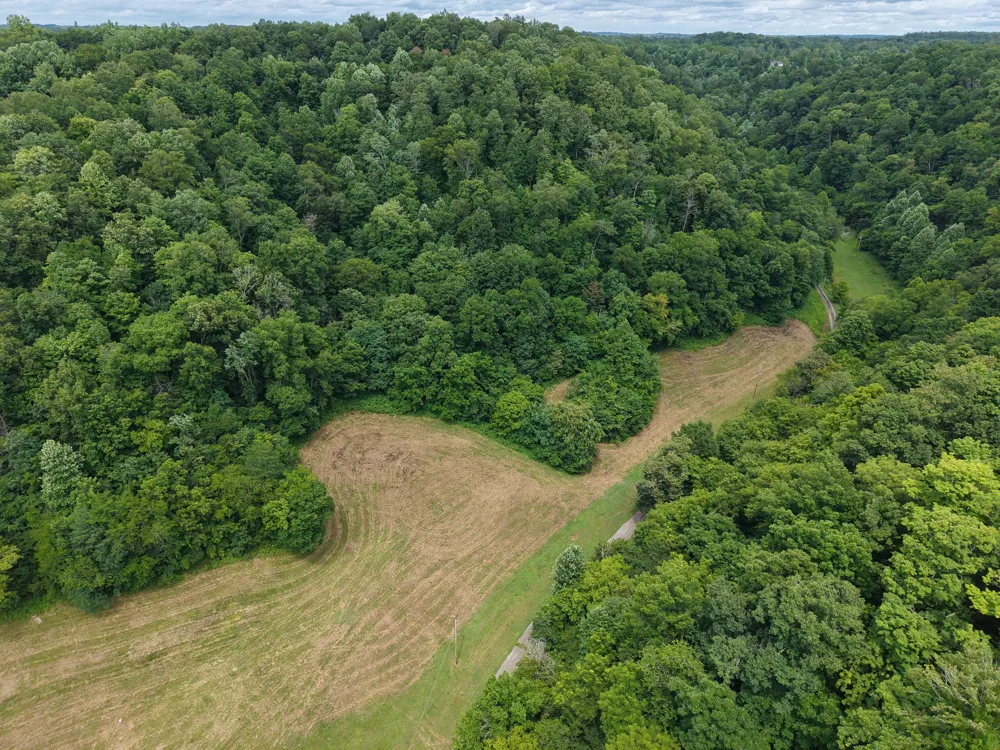 1505 Dark Hollow Rd Lafayette, TN 37083