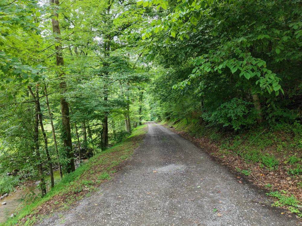 1505 Dark Hollow Rd Lafayette, TN 37083