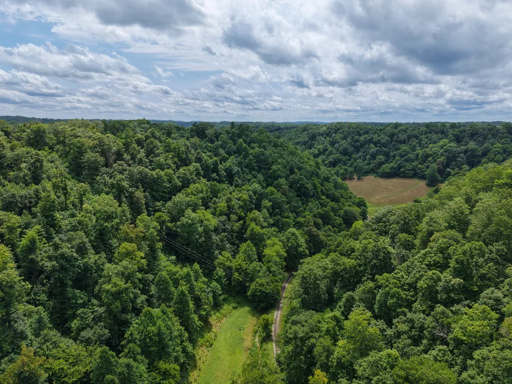 1505 Dark Hollow Rd Lafayette, TN 37083