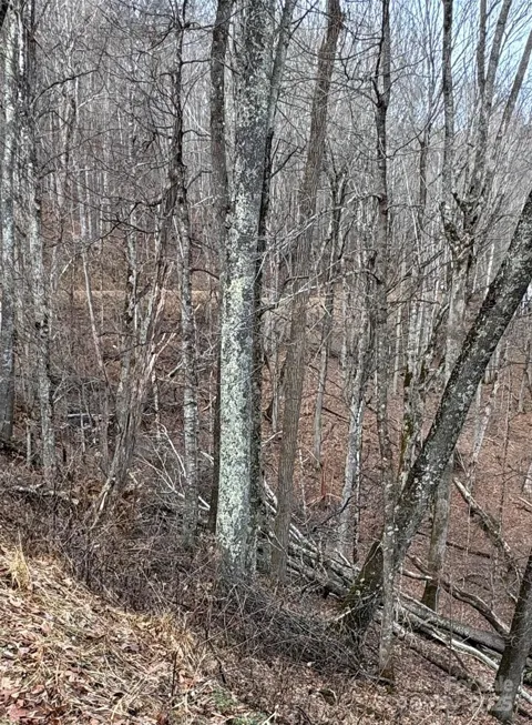 00 Spring Brook Drive #314