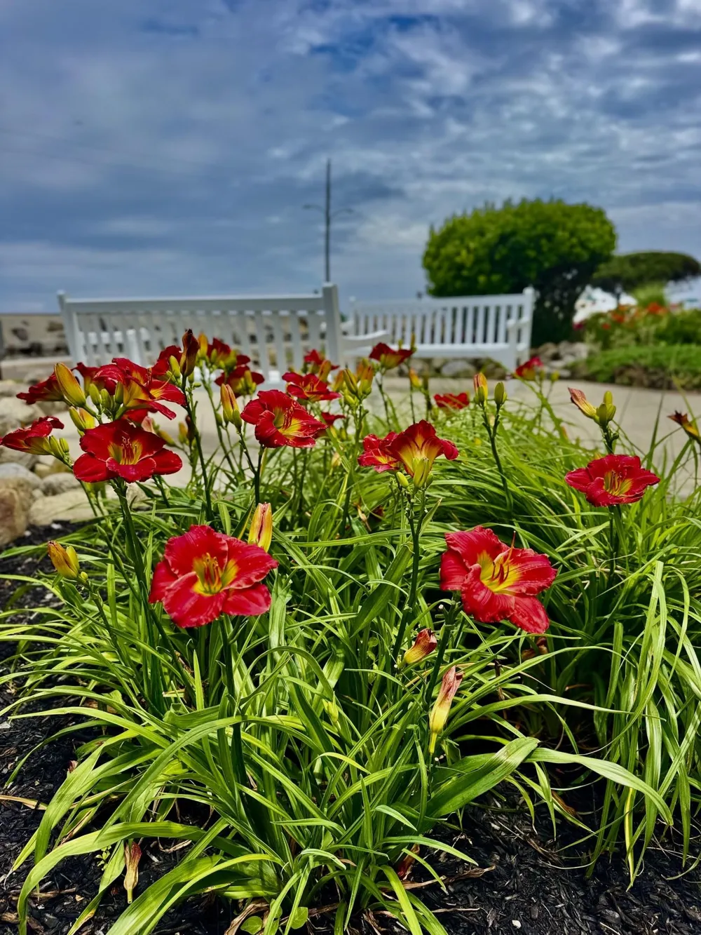 101 W Spruce Avenue North Wildwood, NJ 08260