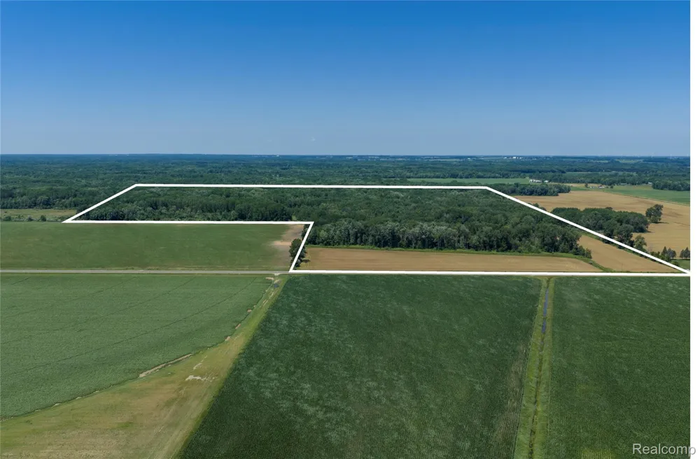 Dodge Rd Ellington Township, MI 48726