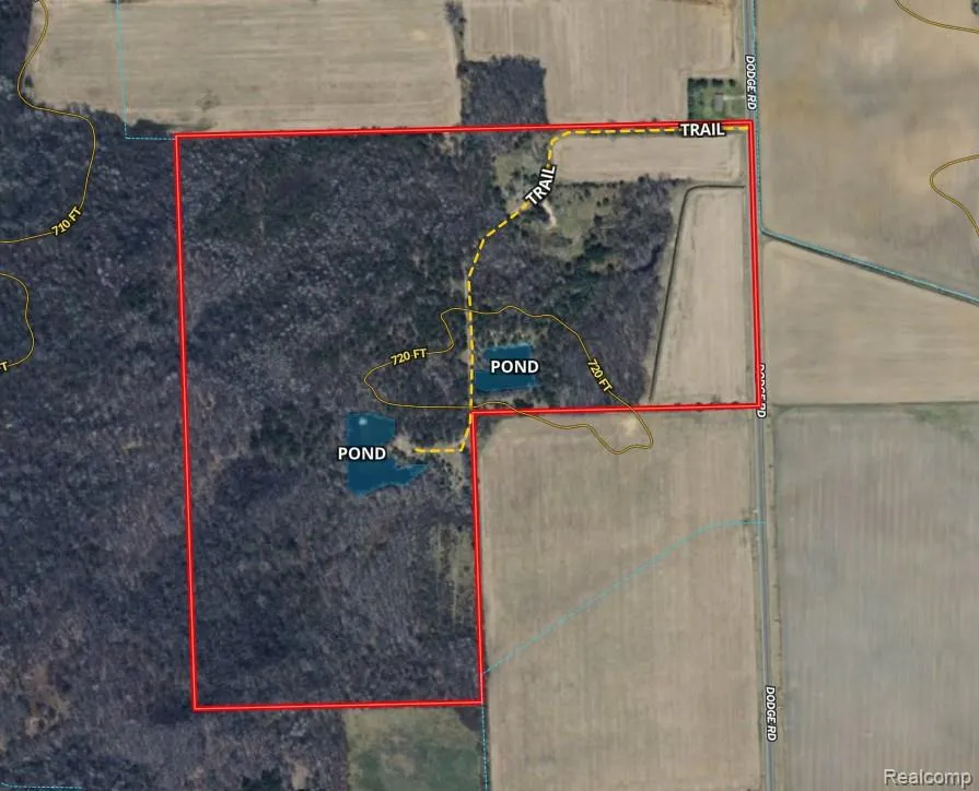 Dodge Rd Ellington Township, MI 48726