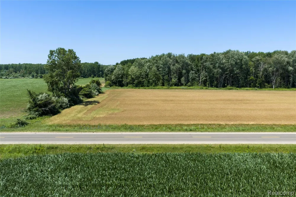 Dodge Rd Ellington Township, MI 48726