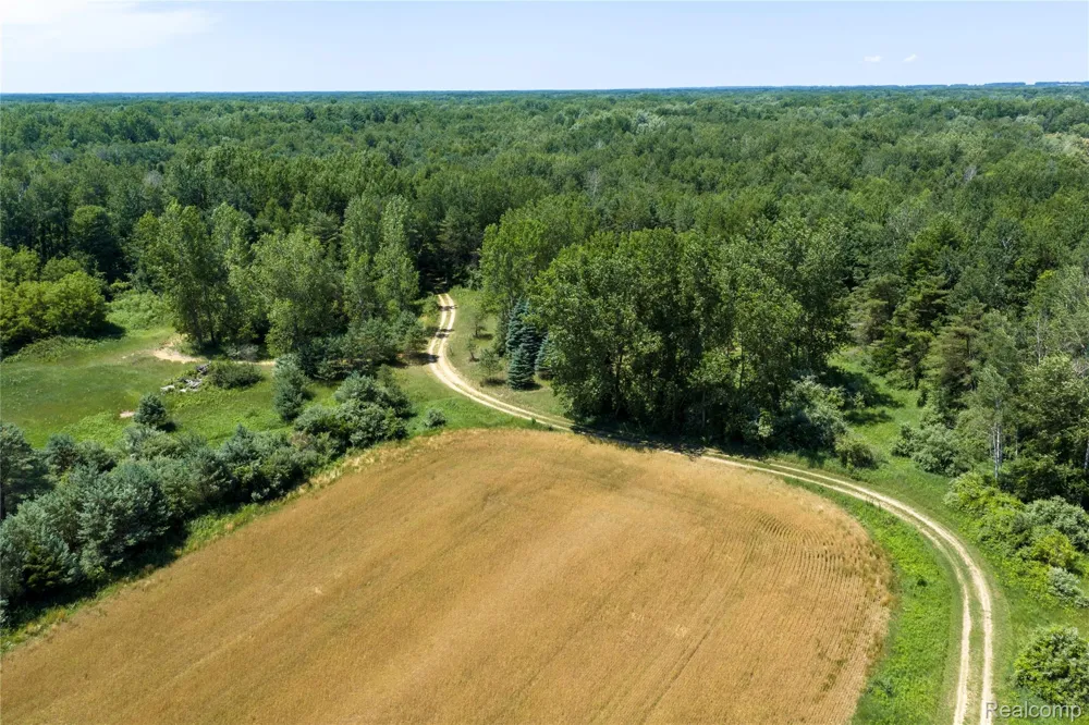 Dodge Rd Ellington Township, MI 48726
