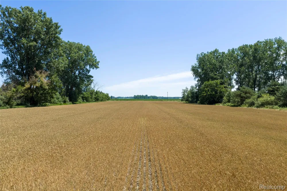 Dodge Rd Ellington Township, MI 48726