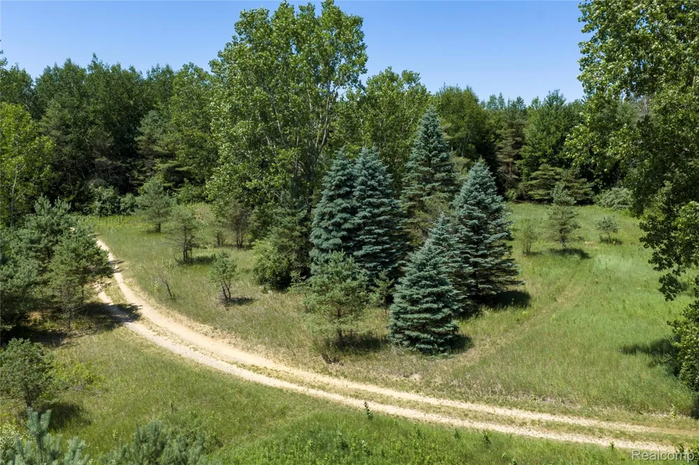 Dodge Rd Ellington Township, MI 48726
