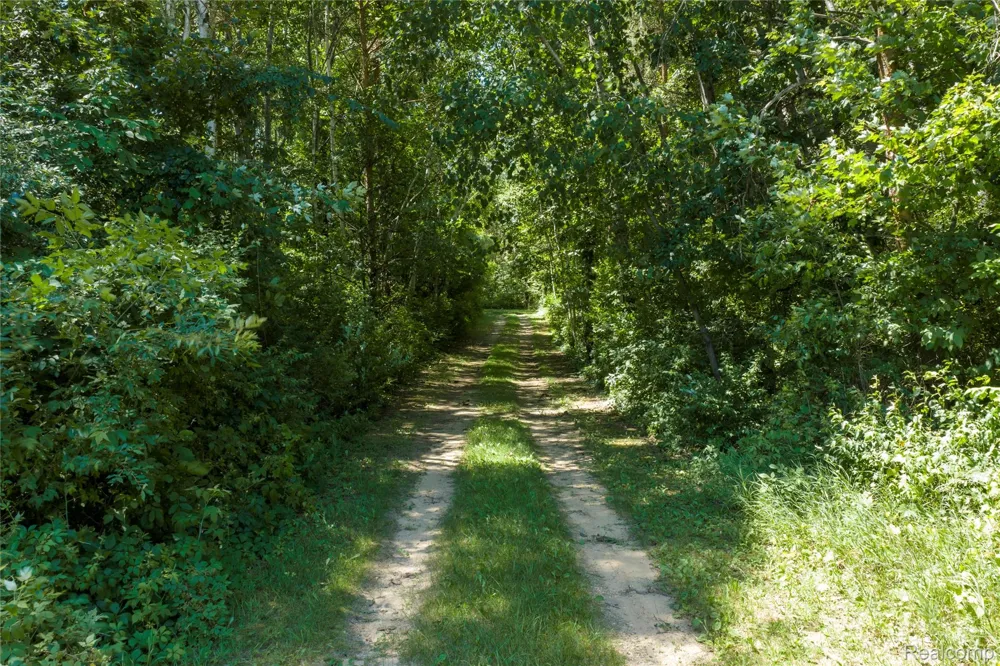 Dodge Rd Ellington Township, MI 48726
