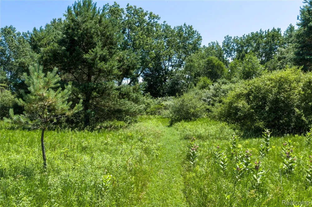 Dodge Rd Ellington Township, MI 48726
