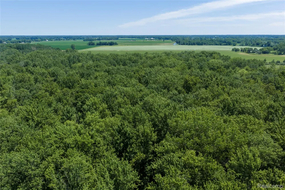Dodge Rd Ellington Township, MI 48726