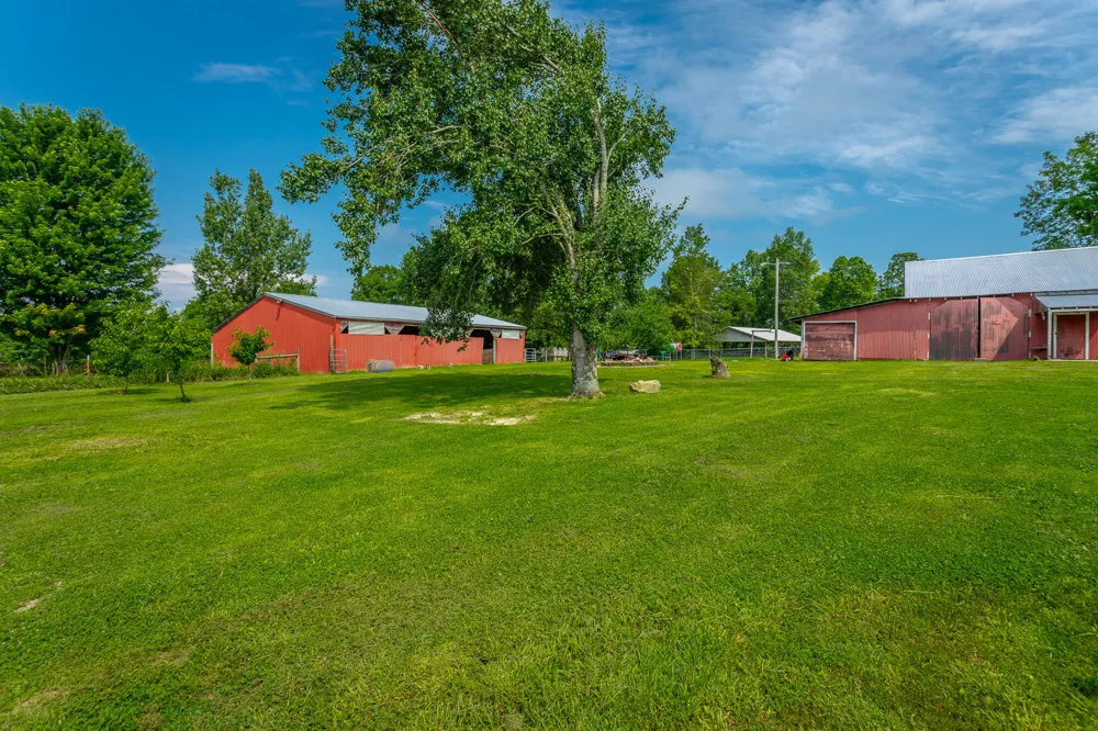 2195 Myers Road Pikeville, TN 37367