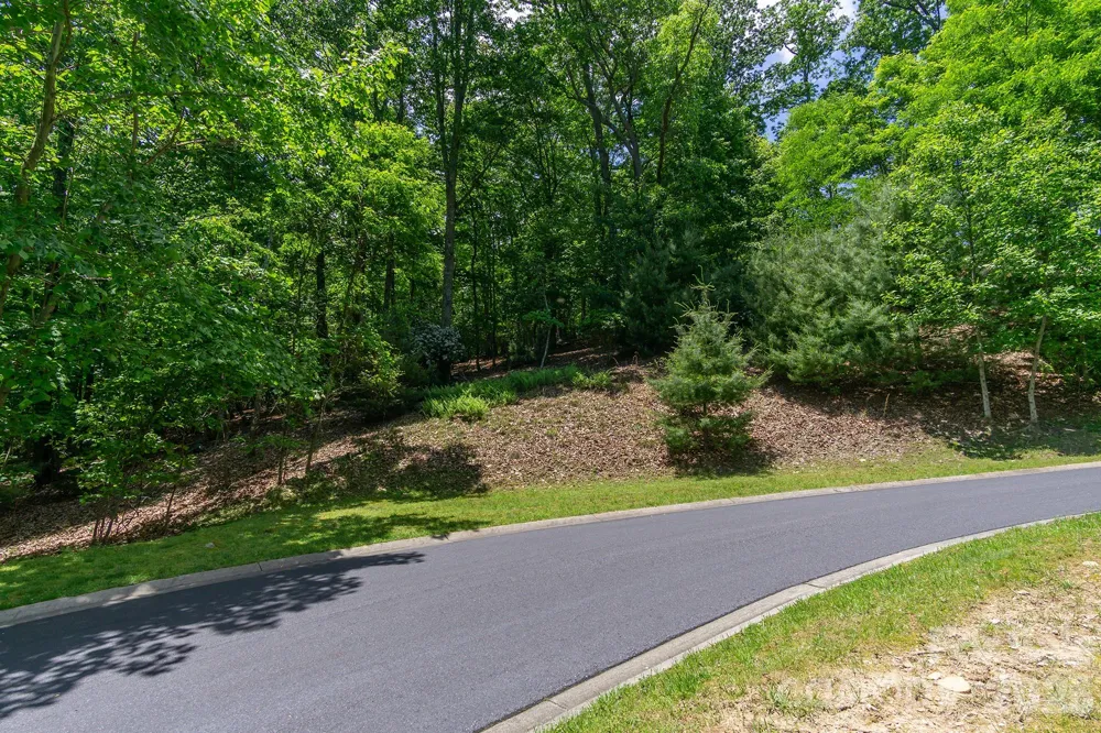 lot 53R Mills River Way #Lot 53R Horse Shoe, NC 28742