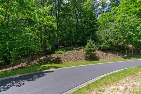 lot 53R Mills River Way #Lot 53R