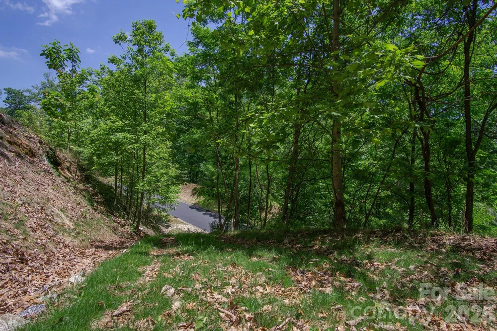 lot 53R Mills River Way #Lot 53R Horse Shoe, NC 28742