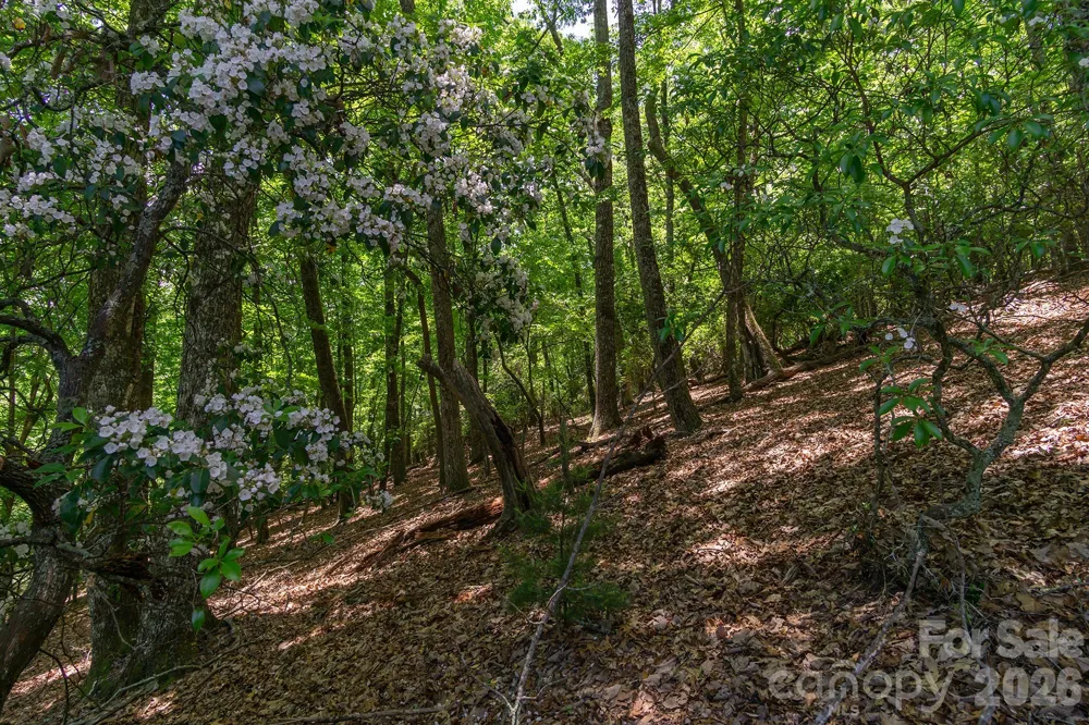 lot 53R Mills River Way #Lot 53R Horse Shoe, NC 28742
