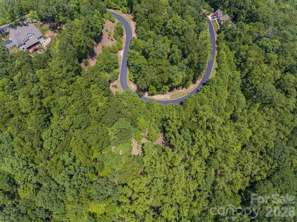 lot 53R Mills River Way #Lot 53R Horse Shoe, NC 28742