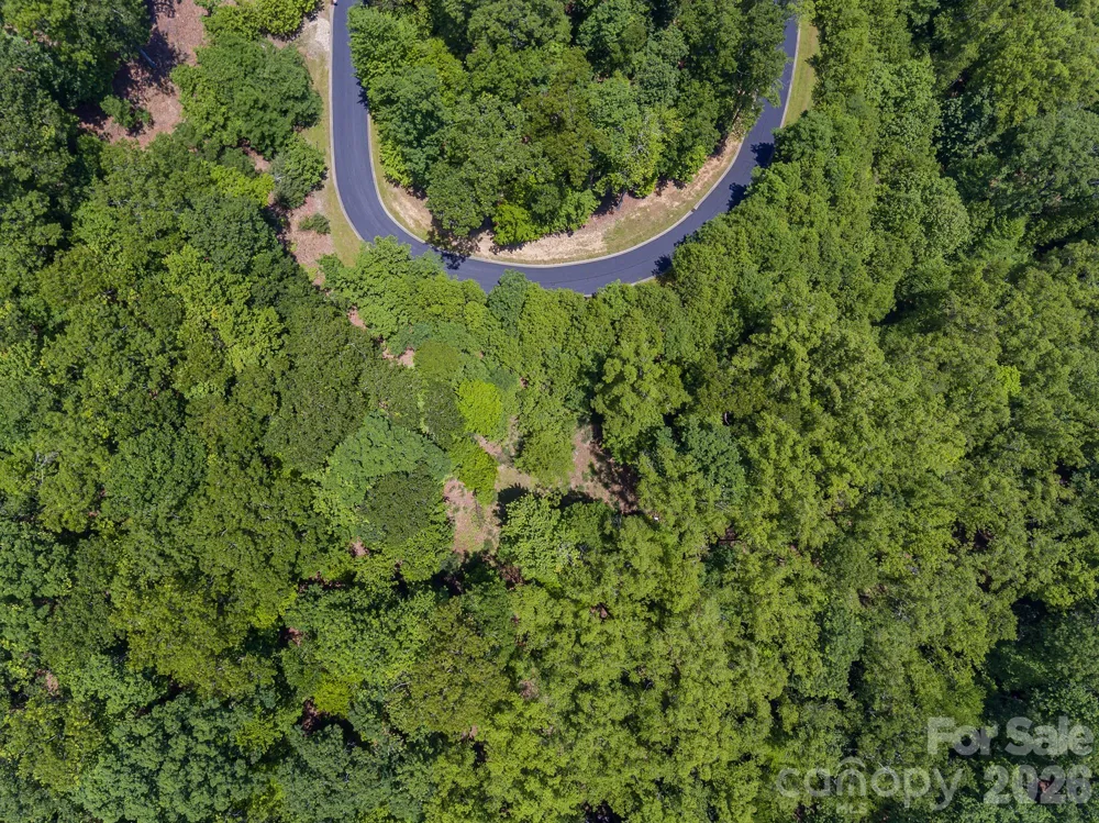 lot 53R Mills River Way #Lot 53R Horse Shoe, NC 28742