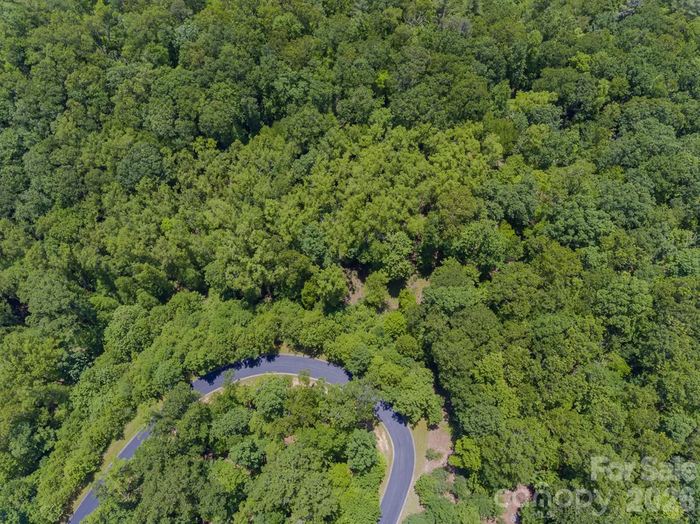 lot 53R Mills River Way #Lot 53R Horse Shoe, NC 28742