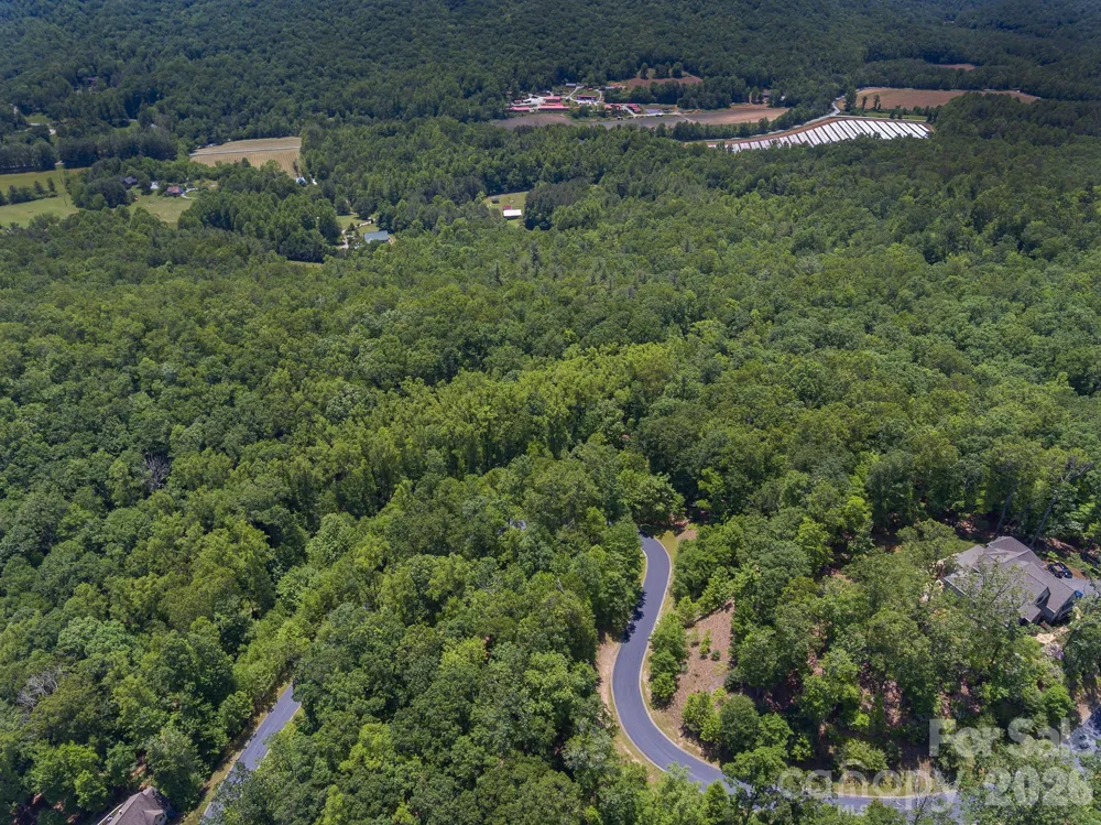 lot 53R Mills River Way #Lot 53R Horse Shoe, NC 28742