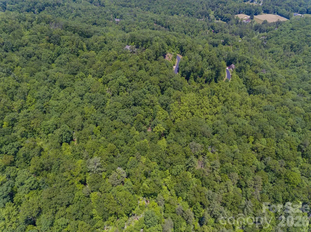 lot 53R Mills River Way #Lot 53R Horse Shoe, NC 28742