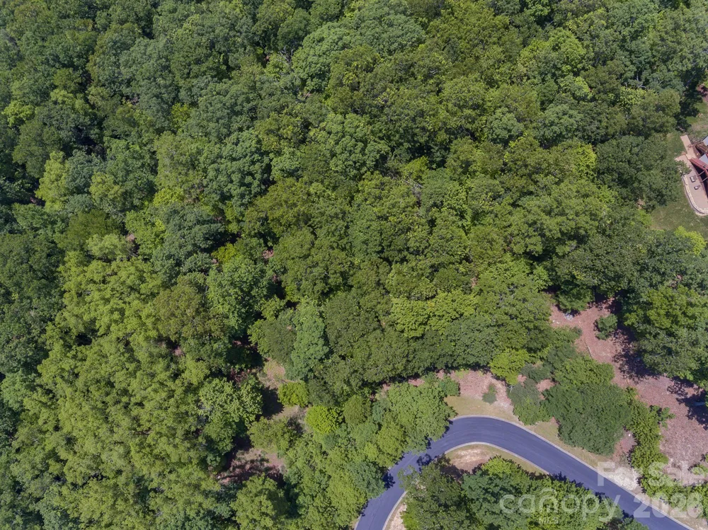 lot 53R Mills River Way #Lot 53R Horse Shoe, NC 28742