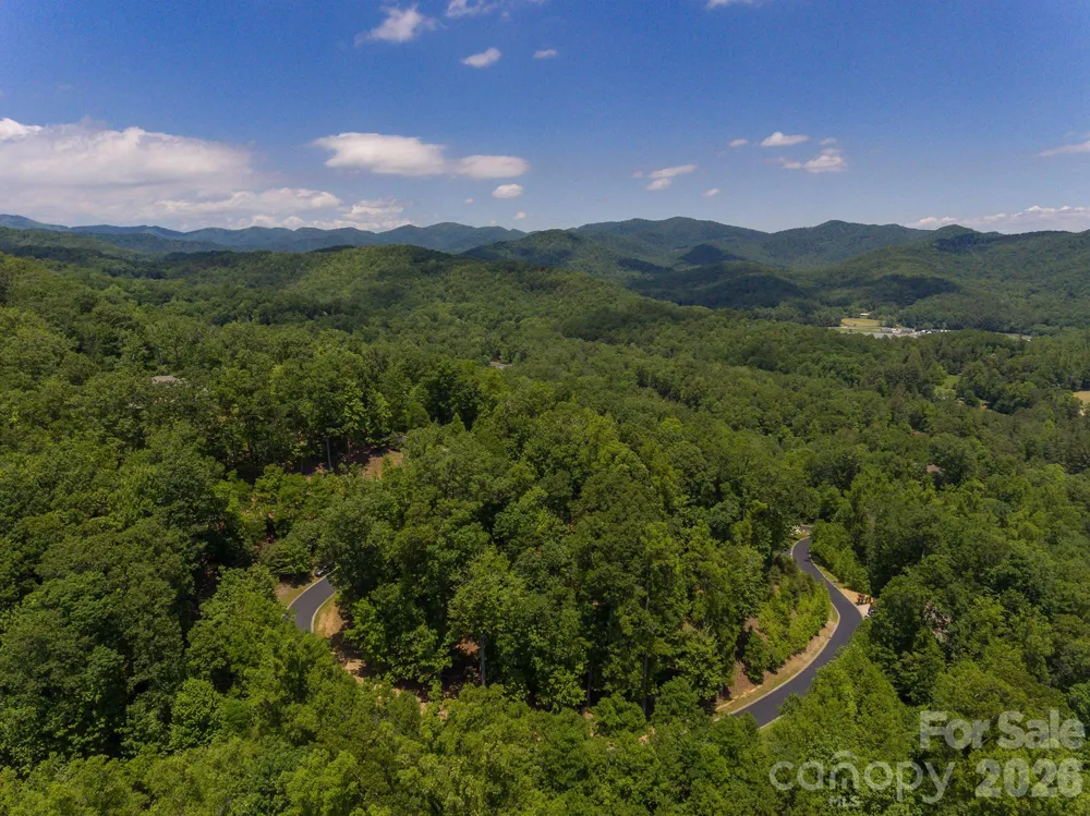 lot 53R Mills River Way #Lot 53R Horse Shoe, NC 28742