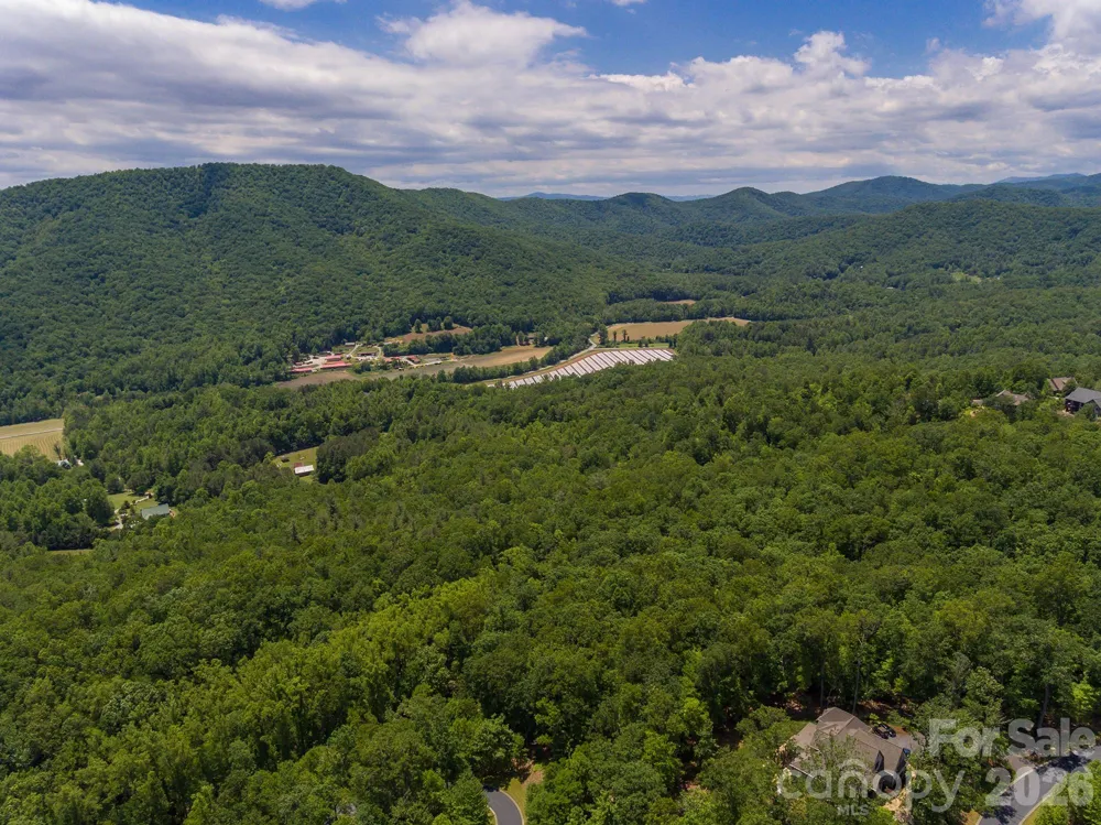 lot 53R Mills River Way #Lot 53R Horse Shoe, NC 28742
