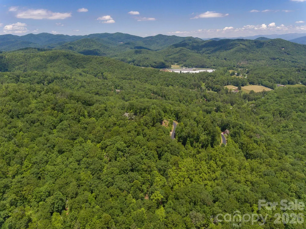 lot 53R Mills River Way #Lot 53R Horse Shoe, NC 28742