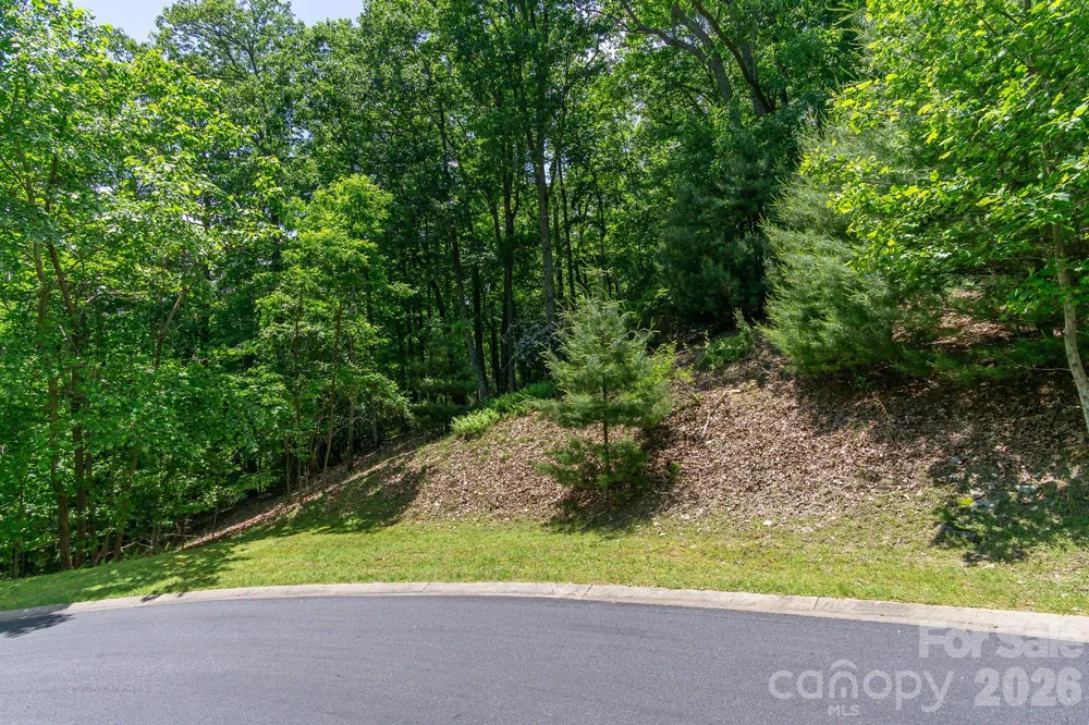 lot 53R Mills River Way #Lot 53R Horse Shoe, NC 28742