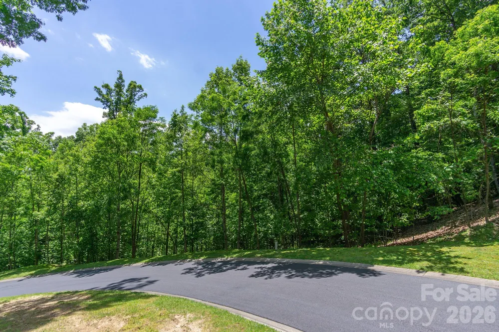 lot 53R Mills River Way #Lot 53R Horse Shoe, NC 28742