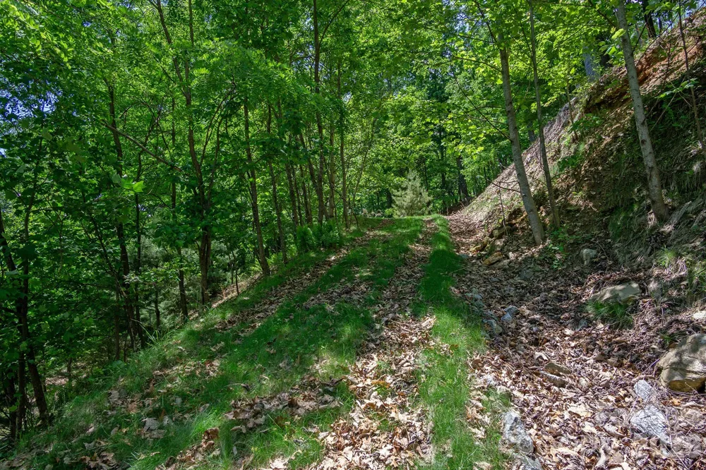 lot 53R Mills River Way #Lot 53R Horse Shoe, NC 28742