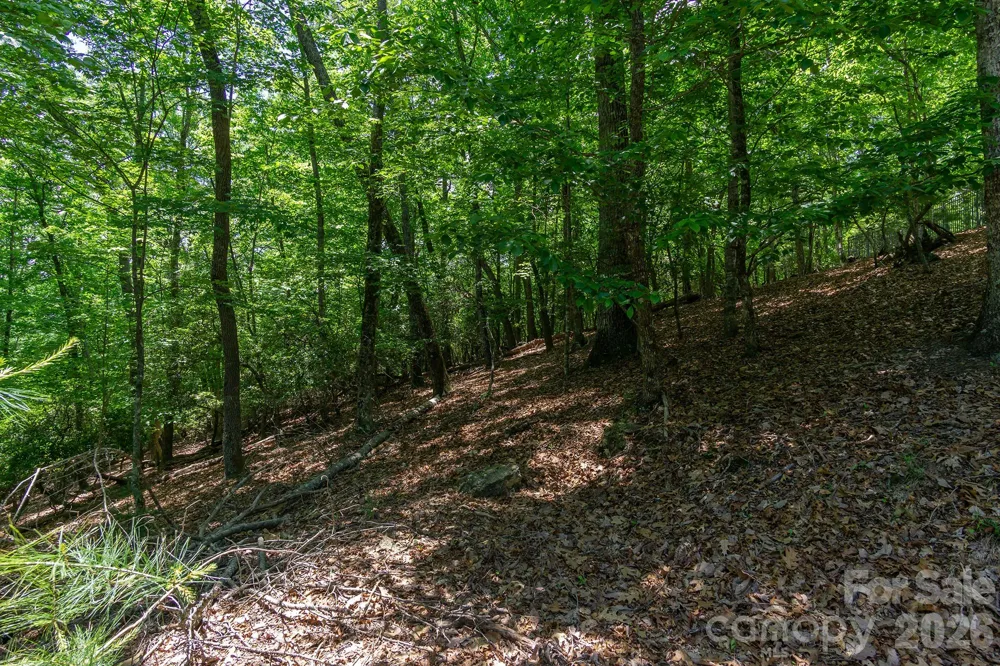 lot 53R Mills River Way #Lot 53R Horse Shoe, NC 28742