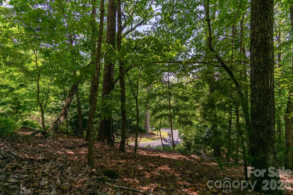 lot 53R Mills River Way #Lot 53R Horse Shoe, NC 28742