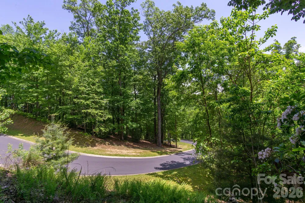 lot 53R Mills River Way #Lot 53R Horse Shoe, NC 28742