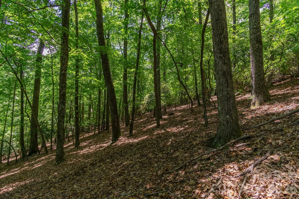 lot 53R Mills River Way #Lot 53R Horse Shoe, NC 28742