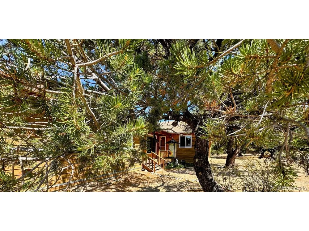 105 Indian Hill Road Mosca, CO 81146