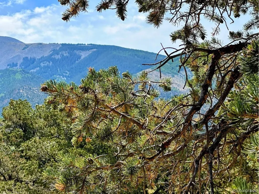 105 Indian Hill Road Mosca, CO 81146