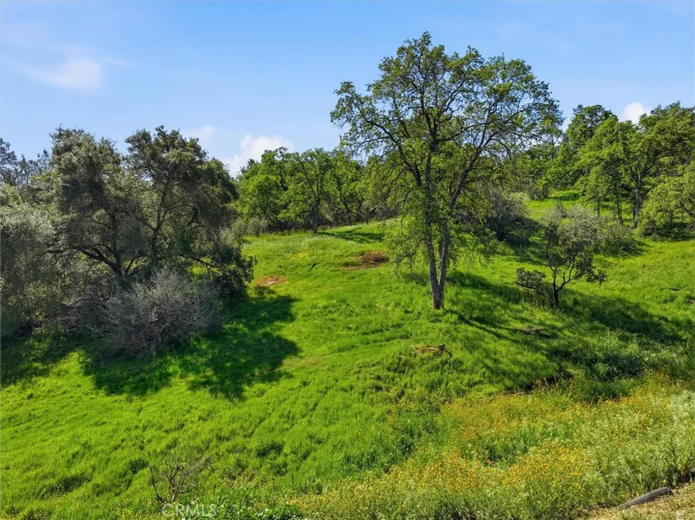 31749 Road 400 Coarsegold, CA 93614